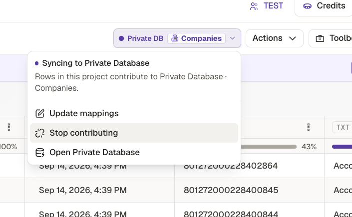 The Private DB control on a project: Syncing to Private Database, rows in this project contribute to Private Database Companies, with Update mappings, Stop contributing and Open Private Database.