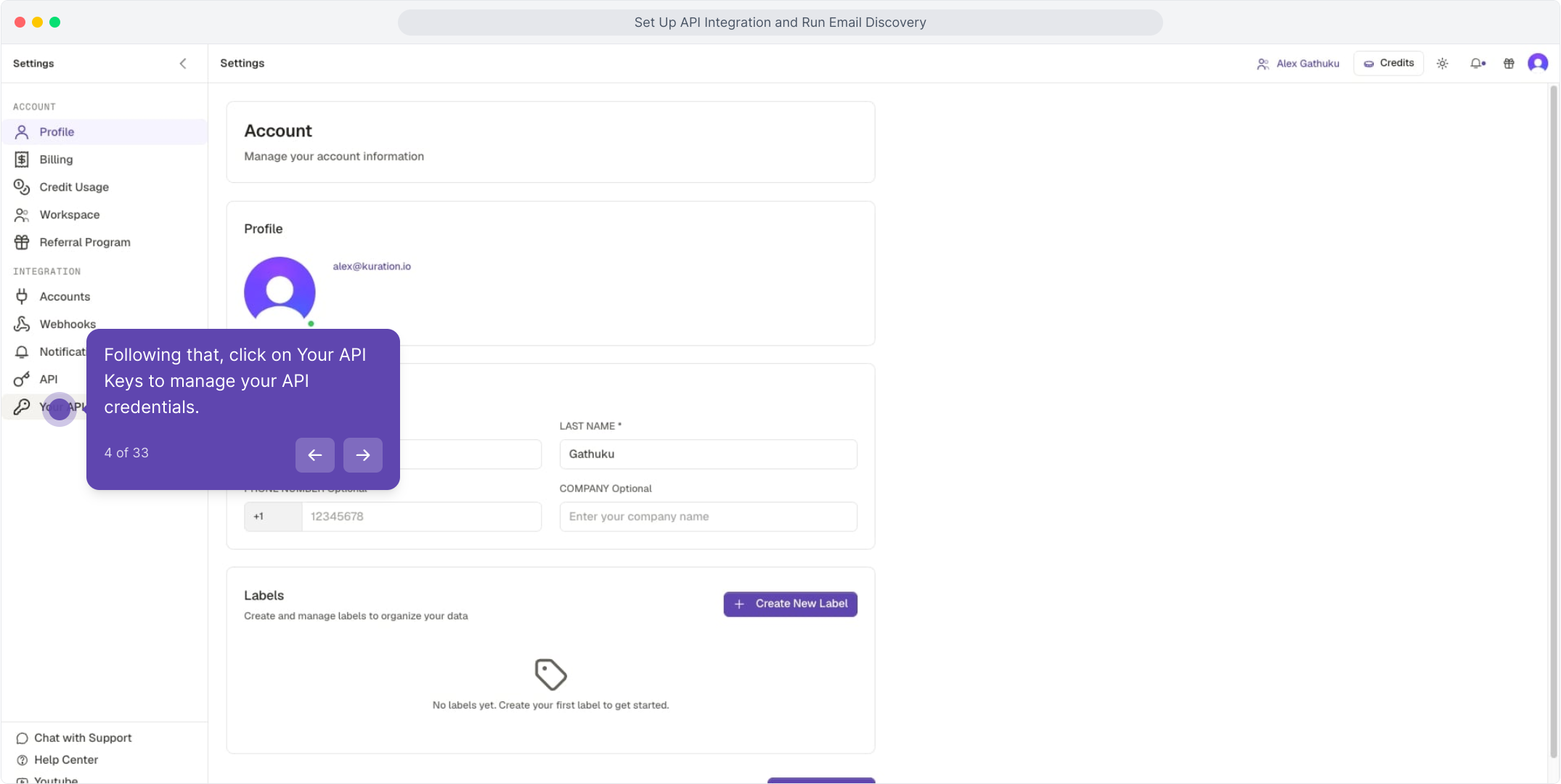 Settings sidebar with Your API Keys highlighted