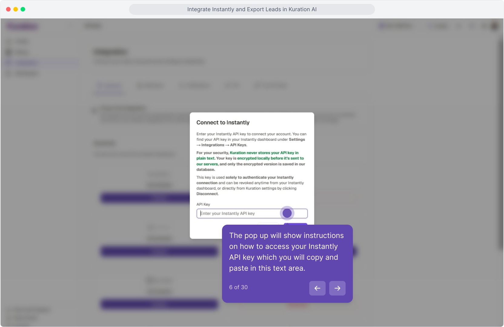 Connect to Instantly dialog with the API Key field