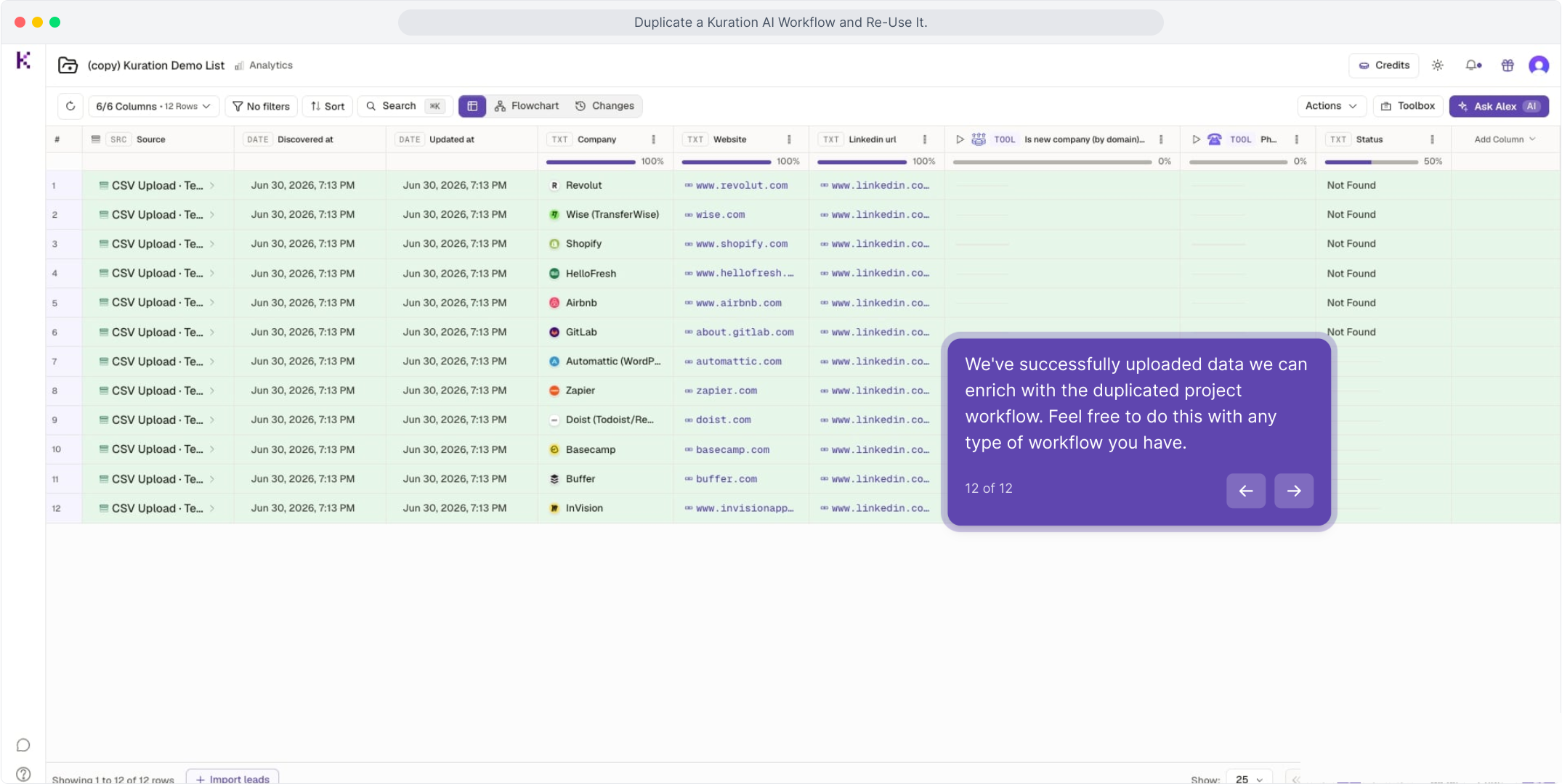 Duplicated project populated with uploaded company rows ready to enrich