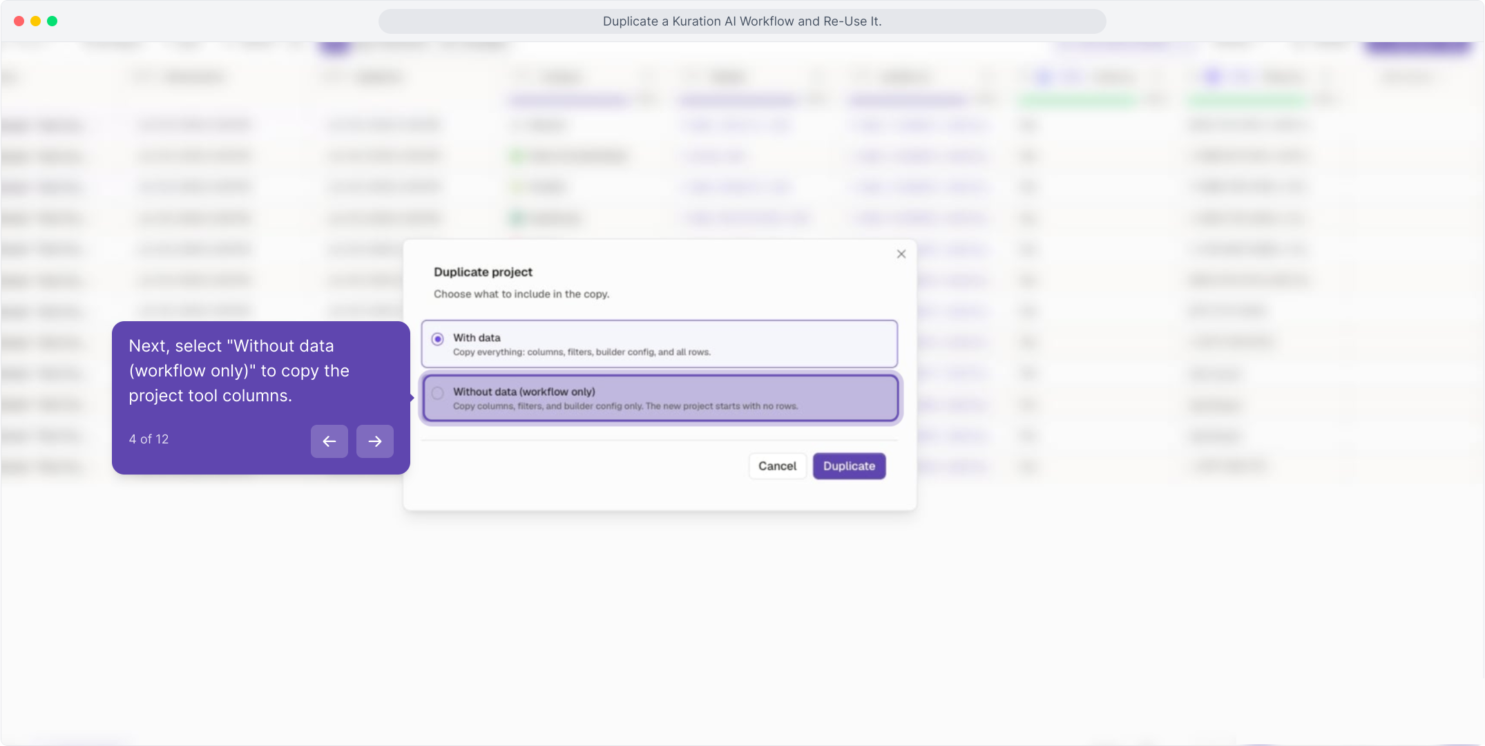 Duplicate project dialog with Without data (workflow only) selected