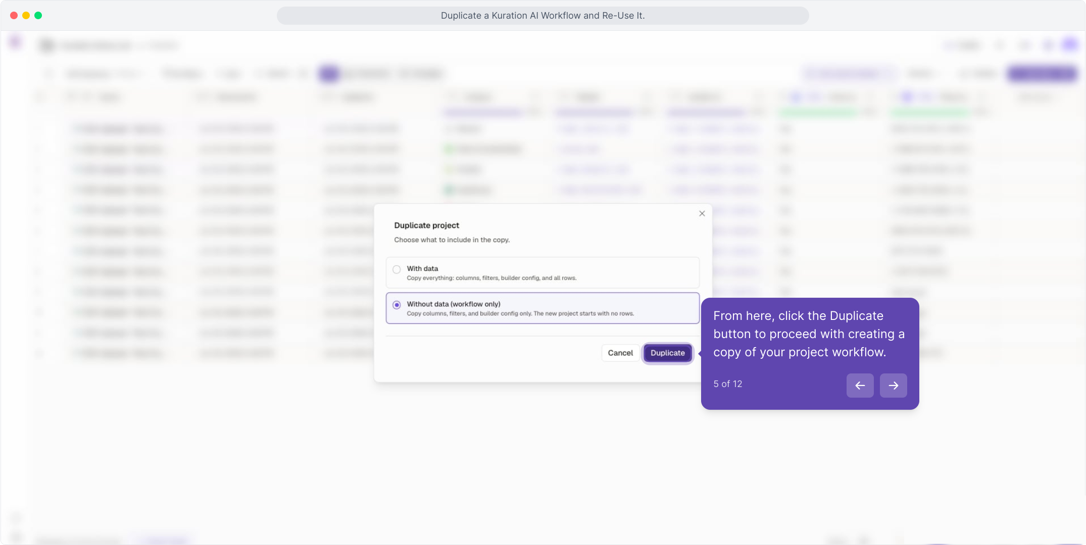 Duplicate project dialog with the Duplicate button highlighted