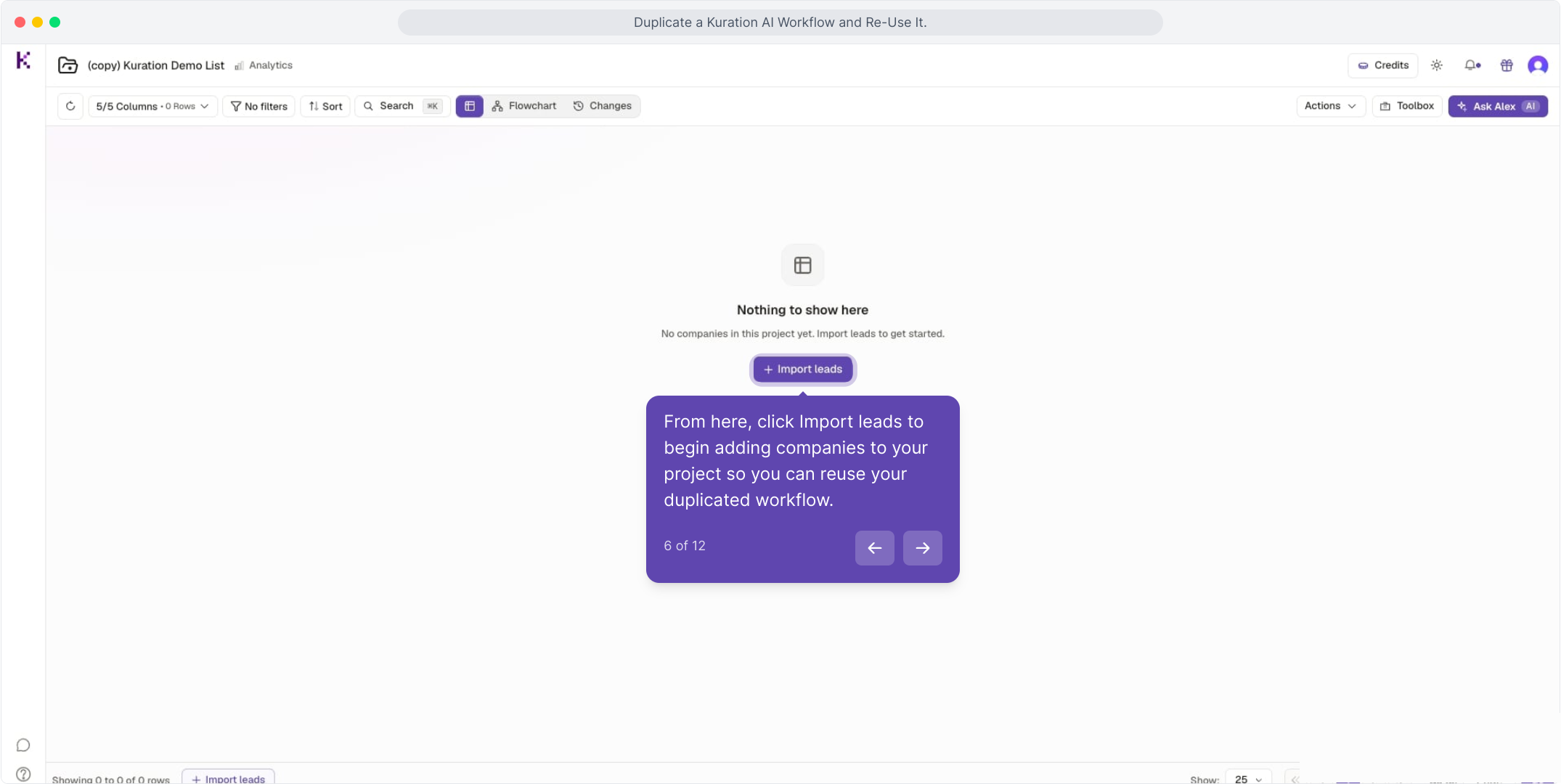 Empty duplicated project with the Import leads button highlighted