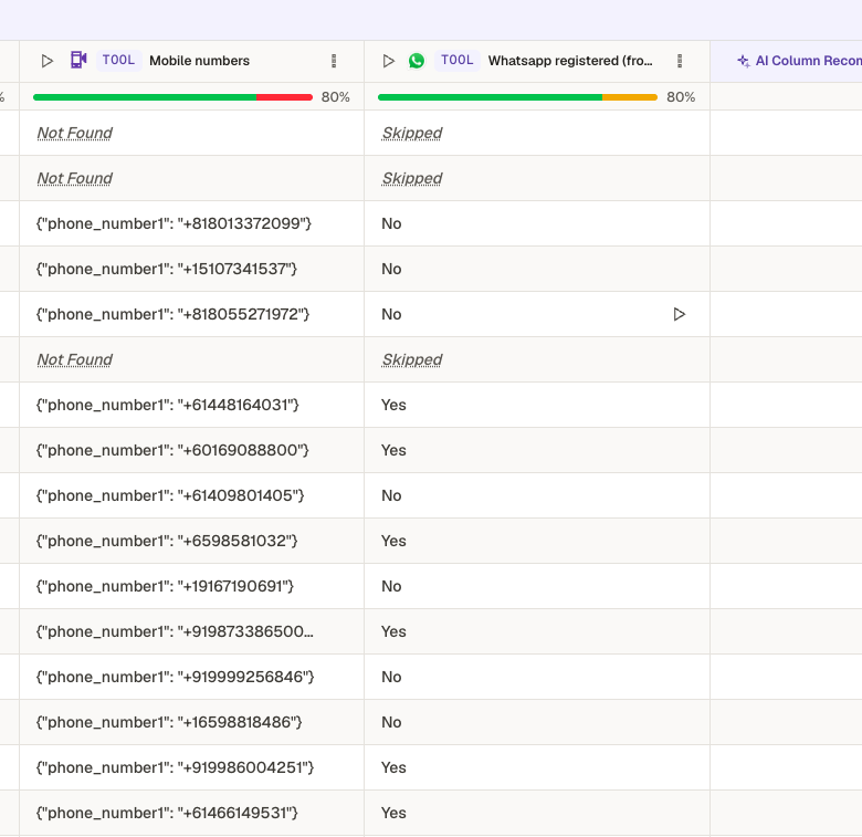 Table showing the Whatsapp registered column with Yes, No and Skipped results